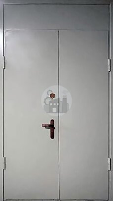 наружная двустворчатая дверь с верхней вставкой, окрас нитроэмаль-ДВ-1049