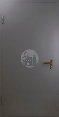 Входная дверь без утеплителя, окрас нитроэмаль-ДВ-195