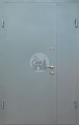 Тамбурная двустворчатая дверь, окрас нитроэмаль-ДВ-995